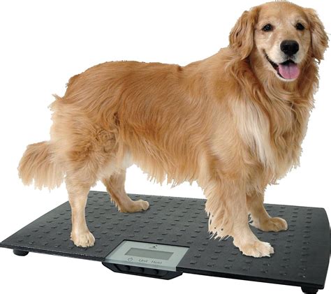 Redmon Precision Digital Pet Scale Chewy Free Shipping