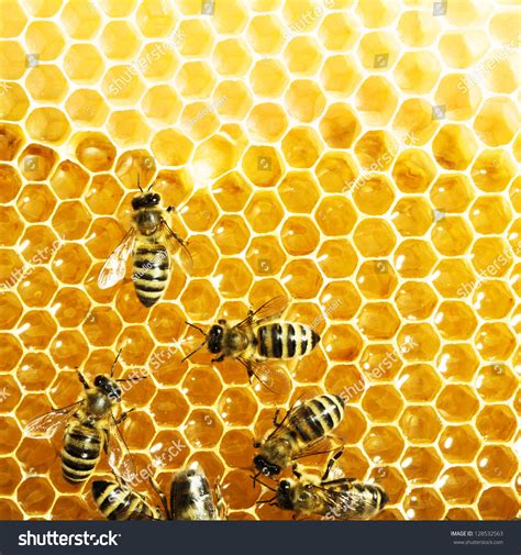 Bees Work On Honeycomb Honey Cells Pattern Stock Photo