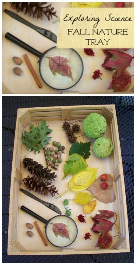 14 Best Preschool Explorations Ofwith Natural Materials Or Loose Parts