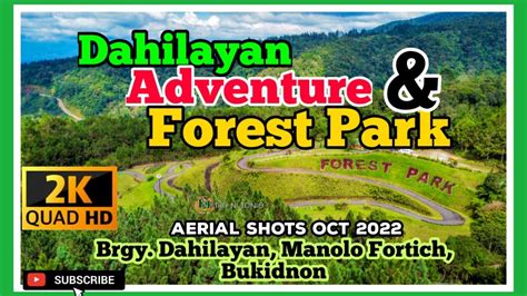 Dahilayan Adventure And Forest Park Aerial Shots Brgy Dahilayan