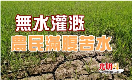 無水灌溉 農民滿腹苦水 北馬 國內 2022 05 31 光明日报