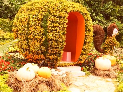 Largest Pumpkin Carving | Singapore Book Of Records