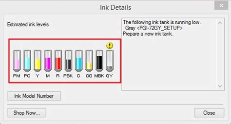 Why Is My Printer Printing Blank Pages MacOS Windows Pttrns