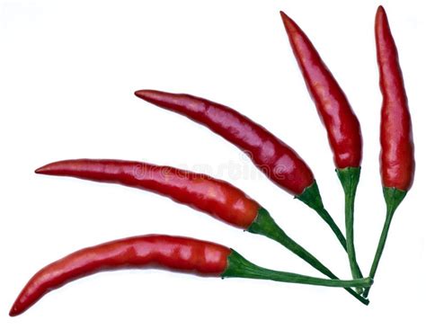 Red Hot Chili Pepper Stock Photo Image Of Cook Asian