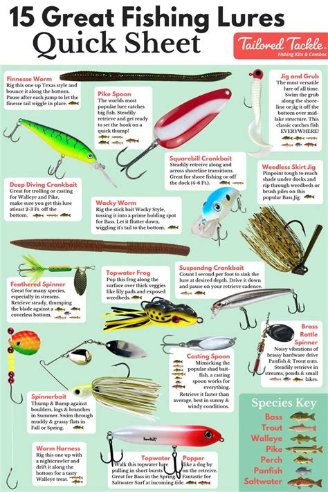 Fishing Lure Types Chart