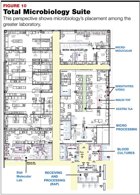 Hospital Medical Laboratory Design Layout