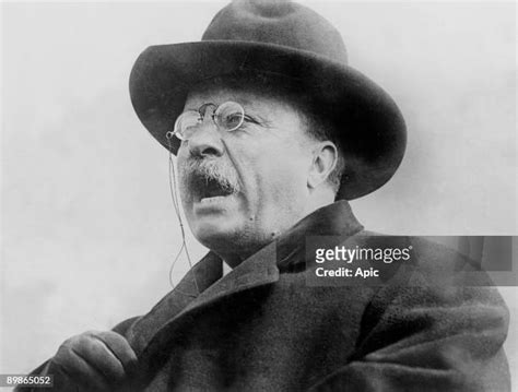 Theodore Roosevelt Portrait Photos And Premium High Res Pictures