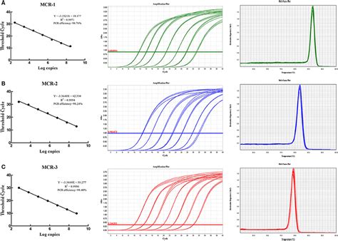 Real Time Pcr Principle