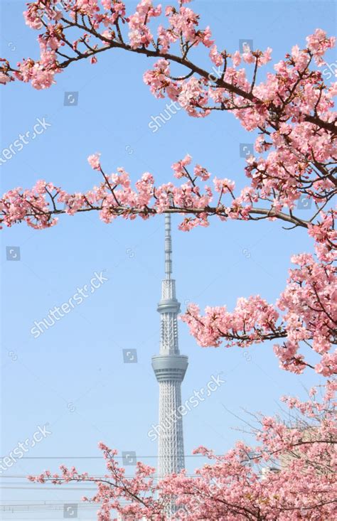 Japans Tallest Tower Tokyo Skytree Seen Editorial Stock Photo Stock