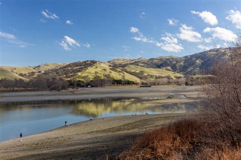 Lake Del Valle from Deer Jaw Trail.