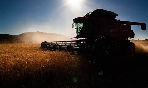 Monitoramento agrícola da Conab mostra que as condições climáticas