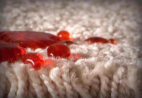 Protect Your Carpet From Stains with Stain Resistant Carpet - Saddleback Carpet and Flooring