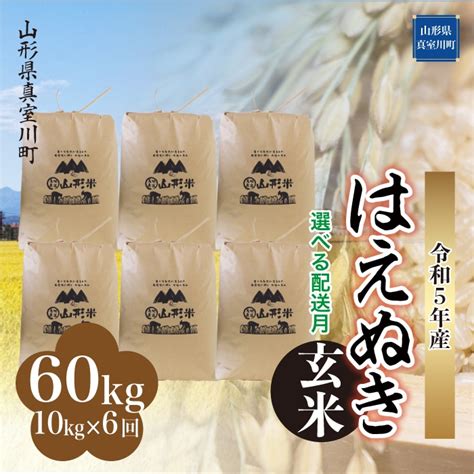 ＜2023年12月下旬より定期配送スタート＞ 令和5年産 真室川町厳選 はえぬき ＜玄米＞ 60kg 6回定期便（10kg×1カ月ごと6回お