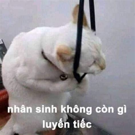 Meme M O Nh N Sinh Kh Ng C G Luy N Ti C K Nguy N L M P