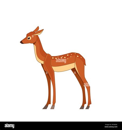 Sika deer isolated on white background. Side view. Cartoon vector flat ...