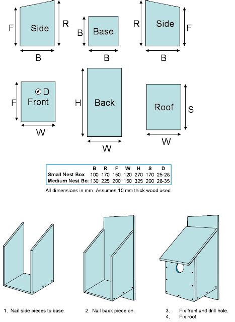 Bird In Everything Bird Nesting Box Plans