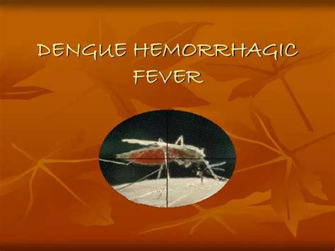 PPT - DENGUE HEMORRHAGIC FEVER PowerPoint Presentation, free download ...