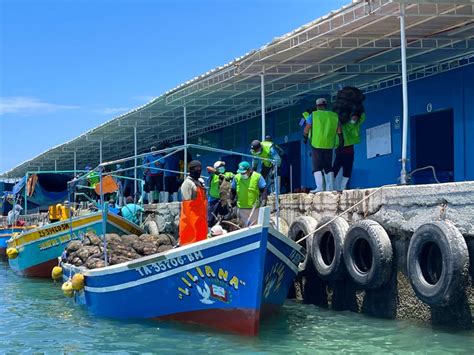 Maricultores rechazan que salida del río Piura se haga por Sechura