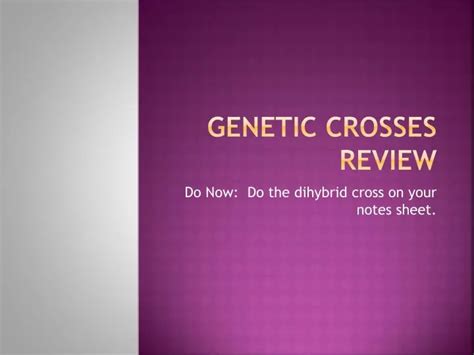 Ppt Genetic Crosses Review Powerpoint Presentation Free Download