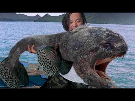 Pinaka Nakakatakot Na Nilalang Sa Karagatan Deep Sea Monsters And