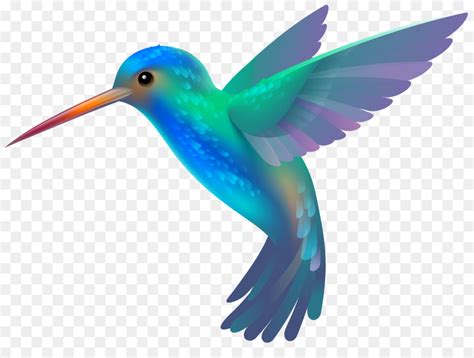 Hummingbird Free Content Stock Xchng Clip Art Hummingbird Cliparts