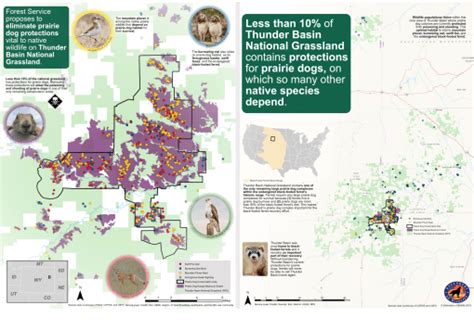 Thunder Basin National Grassland | Defenders of Wildlife