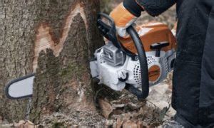 Test avis et prix Tronçonneuse thermique Stihl MS 271