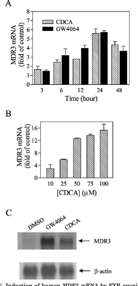 Figure 1 From Farnesoid X Receptor Activates Transcription Of The