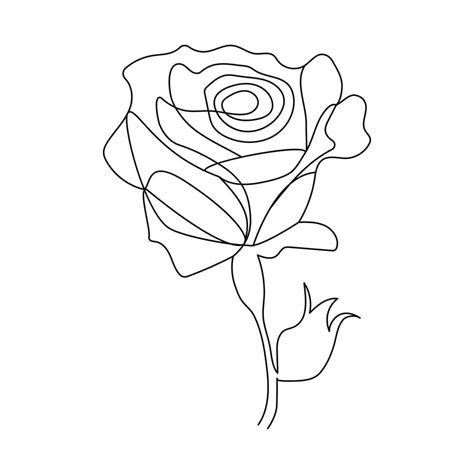 Continuous One Line Rose Flower Drawn Outline Vector Art Illustration