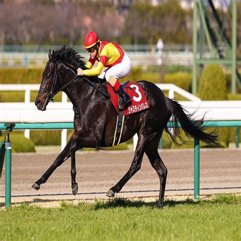 【阪神大賞典】ジャスティンパレスが重賞2勝目 2023年3月19日掲載 ライブドアニュース