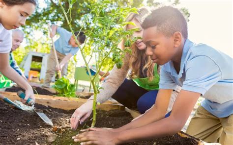 Política Nacional De Educação Ambiental é Atualizada — Ministério Da