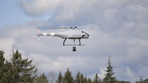 V 200 SKELDAR UMS SKELDAR