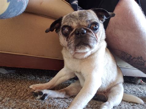 151 Best Watermelon Man Images On Pholder Wtfstockphotos No Mans Sky The Game And Human Porn