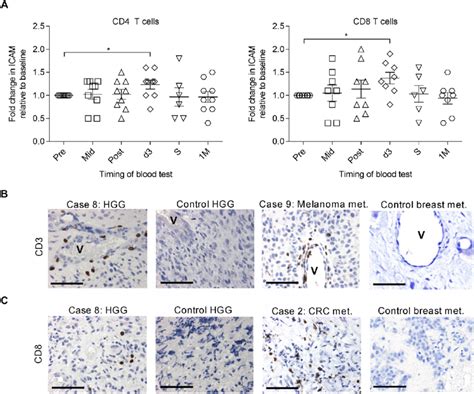 Tumor Immune Cell Infiltration A Fold Change In Cell Surface