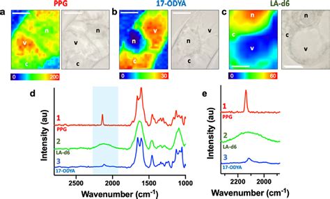 Deuterium And Alkyne Based Bioorthogonal Raman Probes For In Situ