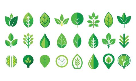 organic  botanical leaf icons  eco friendly designs