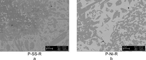 sem images  ptaw reinforced hardfacings  scientific diagram