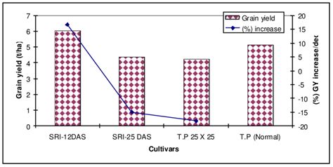 Grain Yield Of Cultivars As Influenced By Sri Method Of Cultivation Download Scientific Diagram