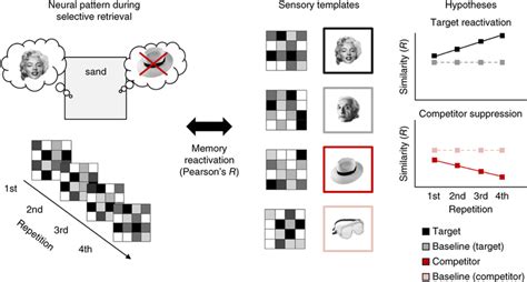 Rationale Of The Item Specific Canonical Pattern Analysis Approach For