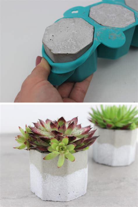 Blument Pfe Aus Beton Ganz Einfach Selber Machen Planter Pots Diy