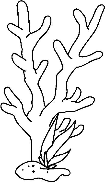 Easy Coral Reef Drawing Clip Art Library