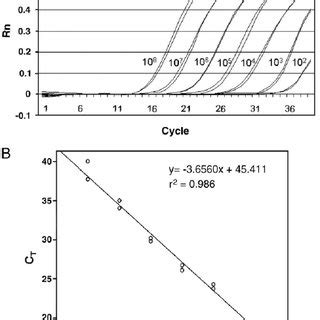 Taqman Real Time Rt Pcr A Amplification Plot And B Standard Curve