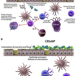 Pathomechanisms Of Crs A Crswnp In A T H Type Microenvironment