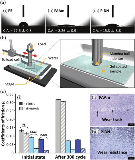 Surface Properties Of The Hydrogel Coating A Contact Angles Of Water Download Scientific