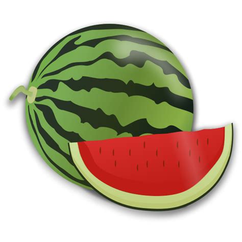 Watermelon And Slice Vector Image Free Svg