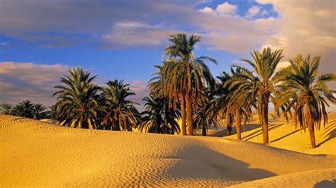 🥇 Desert oasis tunisia wallpaper | (104216)