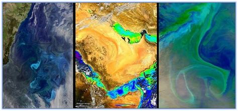 NASAEarthdata on Twitter: "Calling all ocean color data users! Join us ...