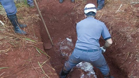 Fotos Imagens Do Dia 2 De Agosto De 2012 02082012 Uol Notícias