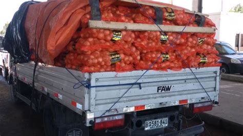 Incautaron Contrabando De Toneladas De Cebolla Brasile A En El Chuy