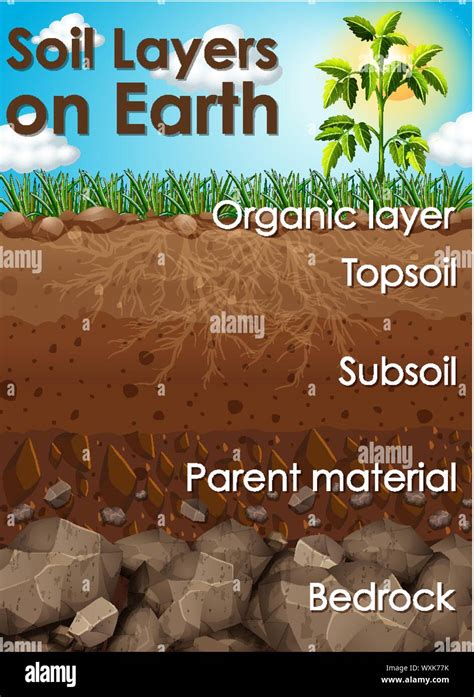 Different soil layers on earth illustration Stock Vector Image & Art ...